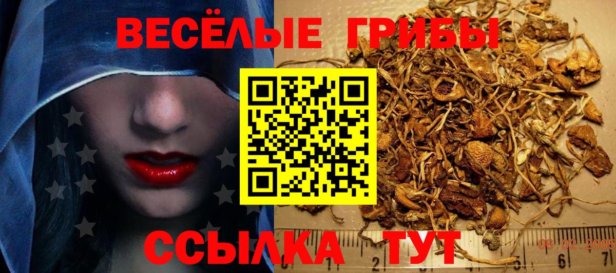 Галлюциногенные грибы Cubensis Нефтеюганск