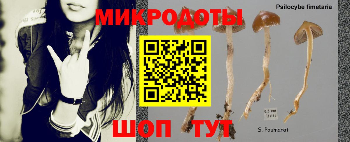 Галлюциногенные грибы Psilocybine cubensis  Вход с VPN  Галлюциногенные грибы мухоморы  Нефтеюганск 